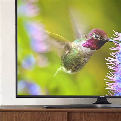 Stream in up to 4K Ultra HD & HDR