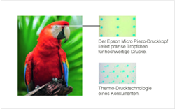 Micro Piezo-Technologie