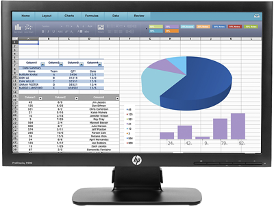 HP ProDisplay P202 20-inch Monitor